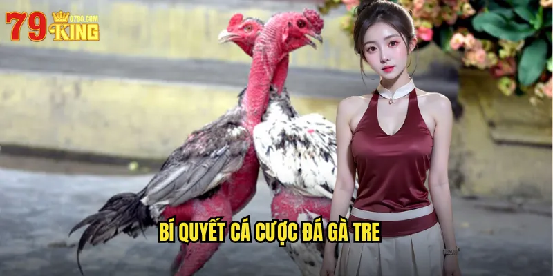 Bí Quyết Cá Cược Đá Gà Tre