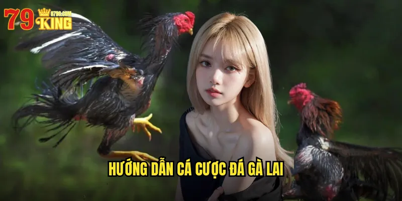 Hướng Dẫn Cá Cược Đá Gà Lai