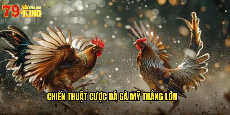 Chiến Thuật Cược Đá Gà Mỹ Thắng Lớn