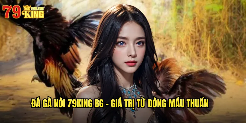 Đá gà nòi 79king bg - Giá Trị Từ Dòng Máu Thuần