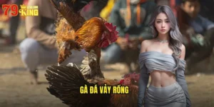 Gà Đá Vảy Rồng