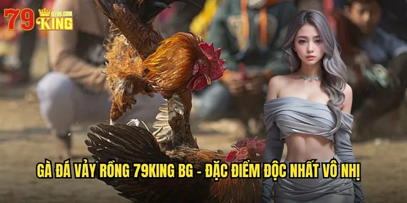Gà Đá Vảy Rồng 79king BG - Dòng Gà Huyền Thoại Sức Mạnh Phi Thường 2 Gà đá vảy rồng 79king bg - Đặc Điểm Độc Nhất Vô Nhị