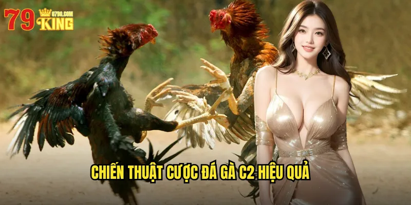 Chiến Thuật Cược Đá Gà C2 Hiệu Quả