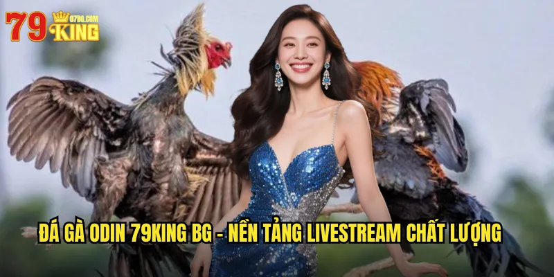 Đá gà Odin 79king bg - Nền Tảng Livestream Chất Lượng