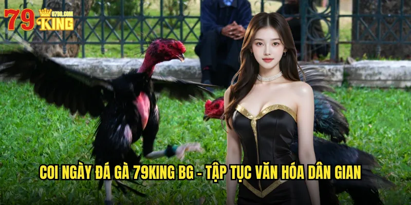 Coi ngày đá gà 79king bg - Tập Tục Văn Hóa Dân Gian