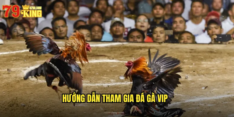 Hướng Dẫn Tham Gia Đá Gà VIP